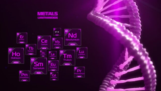 Chemical elements of the periodic table. Classification metals. Lanthanoids. Purple glowing elements of Mendeleev's table with typing name and runing atomic weight and number. DNA chain on background.