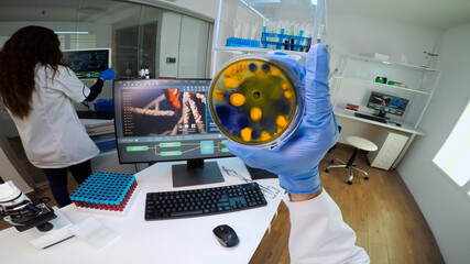 FPV of researcher doctor examining various bacteria holding petri dish in laboratory typing on pc....