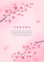 Spring cherry blossom greeting card. Vector illustration of realistic blossoming sakura flowers. Floral background for poster, cover, booklets, wedding invitation © AM_art