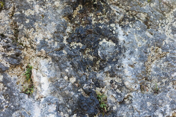 rock textured surface as background