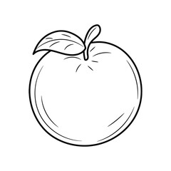 Orange Fruit hand drawn vector illustration, simple fruit Line Icon 