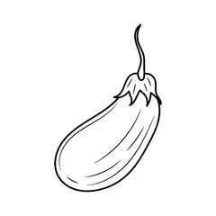 Eggplant hand drawn vector illustration, simple vegetarian food Line Icon 