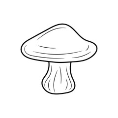 mushroom vector illustration, simple hand drawn vegetable Line Icon 