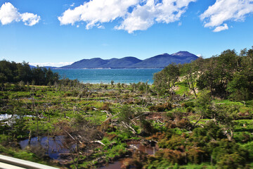 Fototapeta na wymiar Landscape of Tierra del Fuego, Ushuaia, Argentina