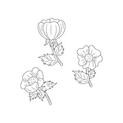 Simple flower hand drawn vector illustration, isolated object Line Icon 
