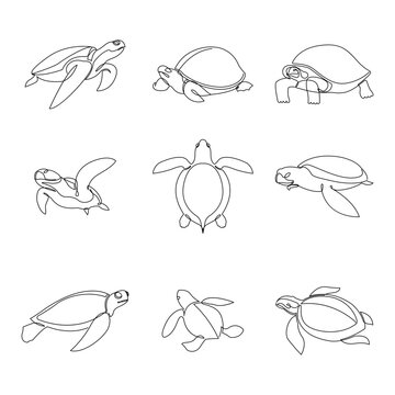 Continuous line turtle set