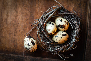 Rustic nest with quail eggs as an Easter concept with plenty of copyspace for your text og greetings