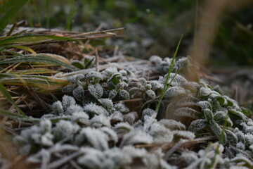 Winter Pebbles