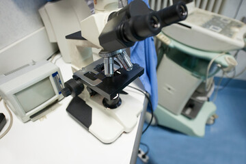 The physical exam of a dog. What to expect at the veterinarian's office?