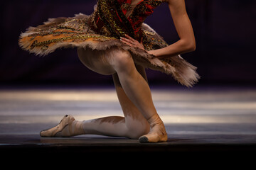 Fototapeta na wymiar Ballerina legs closeup