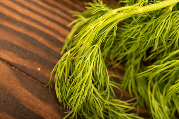 Juicy green dill on the table. Close-up selective focus.