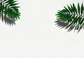Fototapeta premium Empty scene product. Green tropical leaf shadow on white background. Minimal summer concept. 