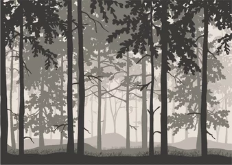 Forest background, silhouettes of trees. Magical misty landscape. Illustration.  © Anna