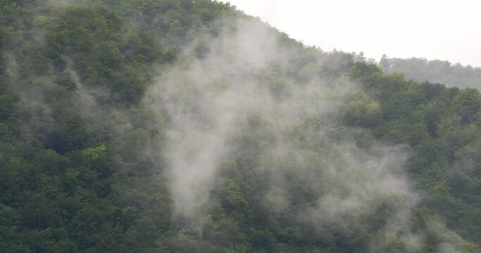 Evaporation after rain and low rain clouds over Klek mountain, Croatia