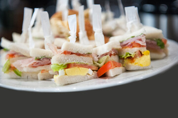 Different types of finger food for appetizer.