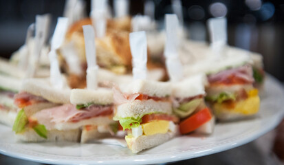 Different types of finger food for appetizer.