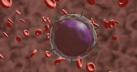 B lymphocyte with membrane receptors (antibodies or immunoglobulins) and showing a big and round nucleus in 3d illustration