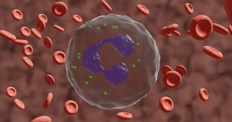 Granulocyte among red blood cells and showing granules in its cytoplasm in 3d illustration