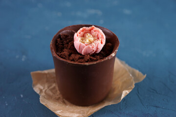 Chocolate dessert in the form of a flowerpot