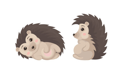 Cute Hedgehog in Various Poses as Prickly Forest Animal Vector Set