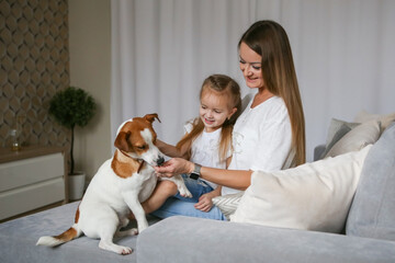 Young mom with her daughter playing with Jack Russell Terrier dog. Family and pet at home.