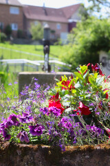 Flowers in a bucket at a park in Potzbach, Germany on a spring day.