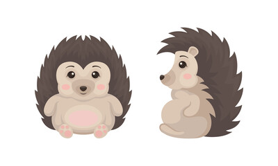 Prickly Hedgehog as Forest Animal in Different Poses Vector Set