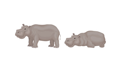 Hippopotamus or Hippo as Large Semiaquatic Mammal in Different Pose Vector Set