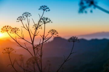 Fototapeta na wymiar italian sunset in the mountains