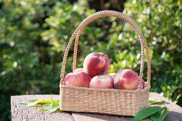 Fresh Peach fruits in blur background, Peach in Bamboo basket on wooden table in garden.