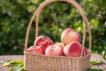 Fresh Peach fruits in blur background, Peach in Bamboo basket on wooden table in garden.