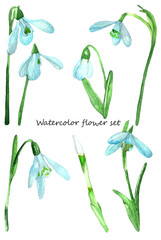 Blue snowdrop flowers set.Botanical watercolor floral set leaves and flowers in open and close form.Blue flowers isolated on white background.For wrappers,wallpapers,postcards,greating cards,wedding i