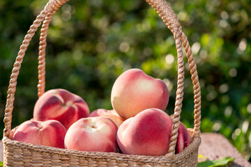 Fresh Peach fruits in blur background, Peach in Bamboo basket on wooden table in garden.