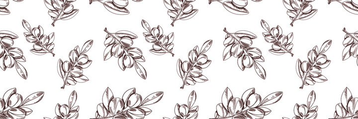 Vector Seamless Black and White Pattern: Argan Branch, Hand Drawn Outline Illustration.
