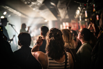 concert crowd enoy the music
