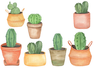 Watercolor house plants cactus in boho pots, hand drawing illustration