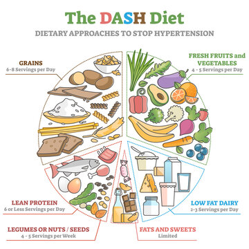 The DASH food diet as dietary approach to stop hypertension outline diagram