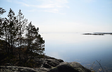 Beautiful day outdoors in the Swedish archipelago. Trees on the rock and calm water at sea. No people around this sunny day in Sweden.