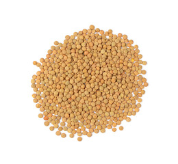 Raw Dry Lentils, Lentil Grains, Dal, Daal, Dhal, Masoor