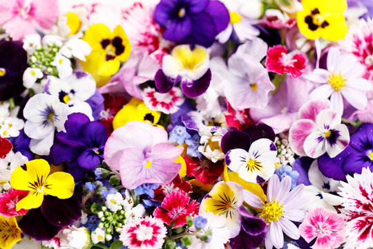 Colorful edible Flowers