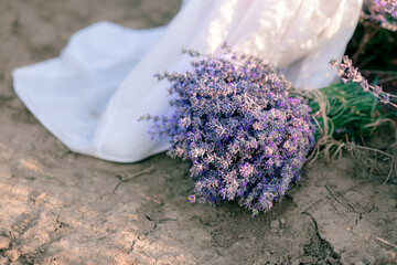 Lavender essential oil with fresh lavender flowers, aromatherapy spa massage concept. Lavendula oleum