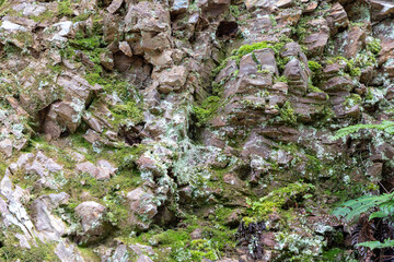 Landscape with green mossy rocks