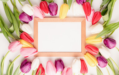 Wooden frame with colorful spring tulips top view over white background