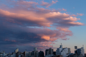 Fototapeta premium 空