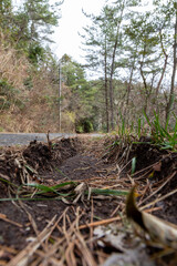Roads and tunnels seen from the ruts of mud