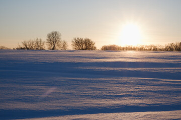 Winter sunset. Landscape, snow-covered field in the rays of sunset with frozen trees on the horizon in backlight.