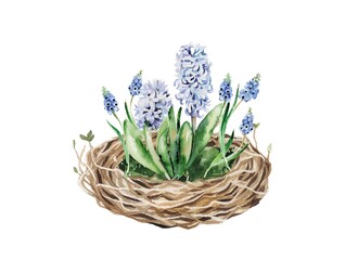 Obraz premium Watercolor illustration. Spring flower arrangement in the nest with egg, daffodils, hyacinths, muscari, leaves. Design for Easter cards, prints, clothing, fabric