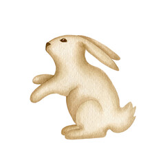 Rabbit watercolor 1
