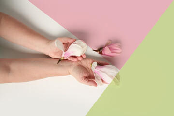 close-up of a woman's hand on a light geometric background, holding buds of spring flowers, pink magnolia, the concept of the awakening of nature, aroma of plants, anti-aging cosmetology