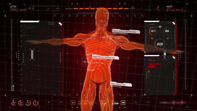 Analysis of Human Anatomy Scan on Futuristic Touch Screen Interface showing muscle work. Digital displays with an x-ray scan of muscle tissue, graph of analysis of the method of muscle contraction.
